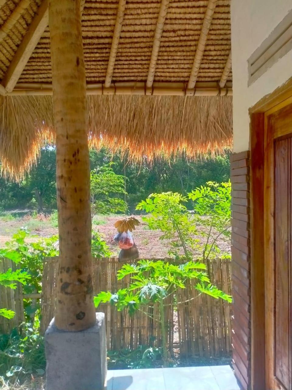 Melody Surf - Ekas Lombok Exterior foto