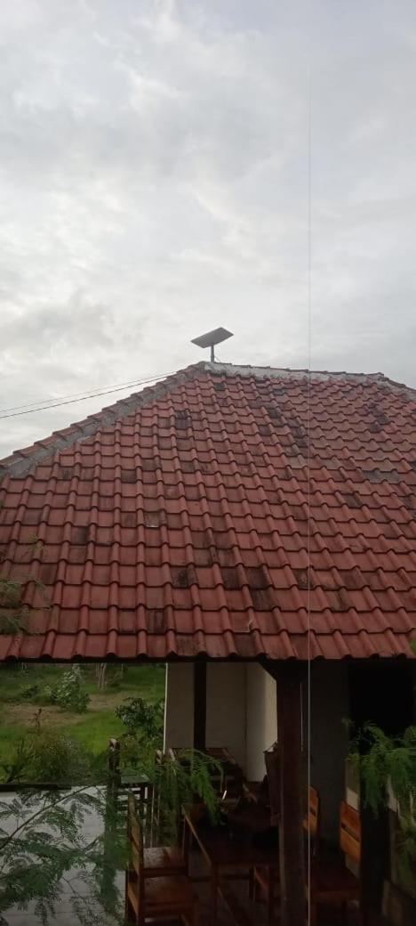 Melody Surf - Ekas Lombok Exterior foto