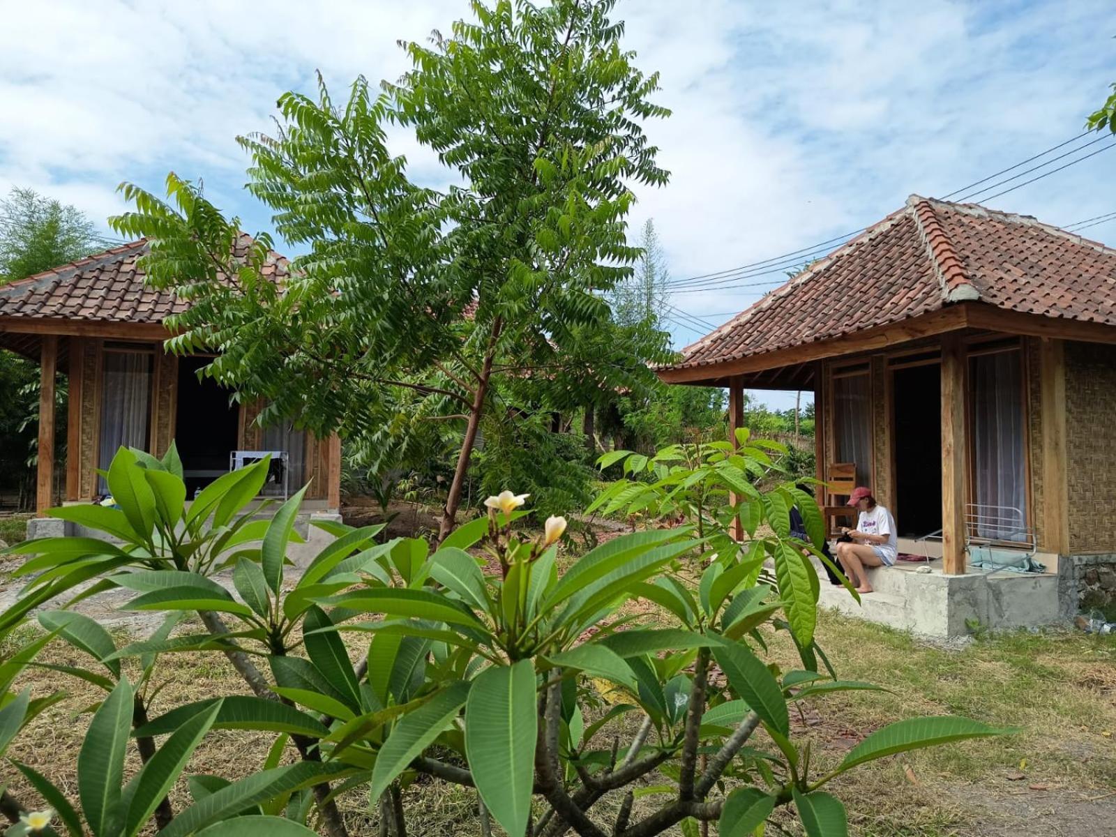 Melody Surf - Ekas Lombok Exterior foto