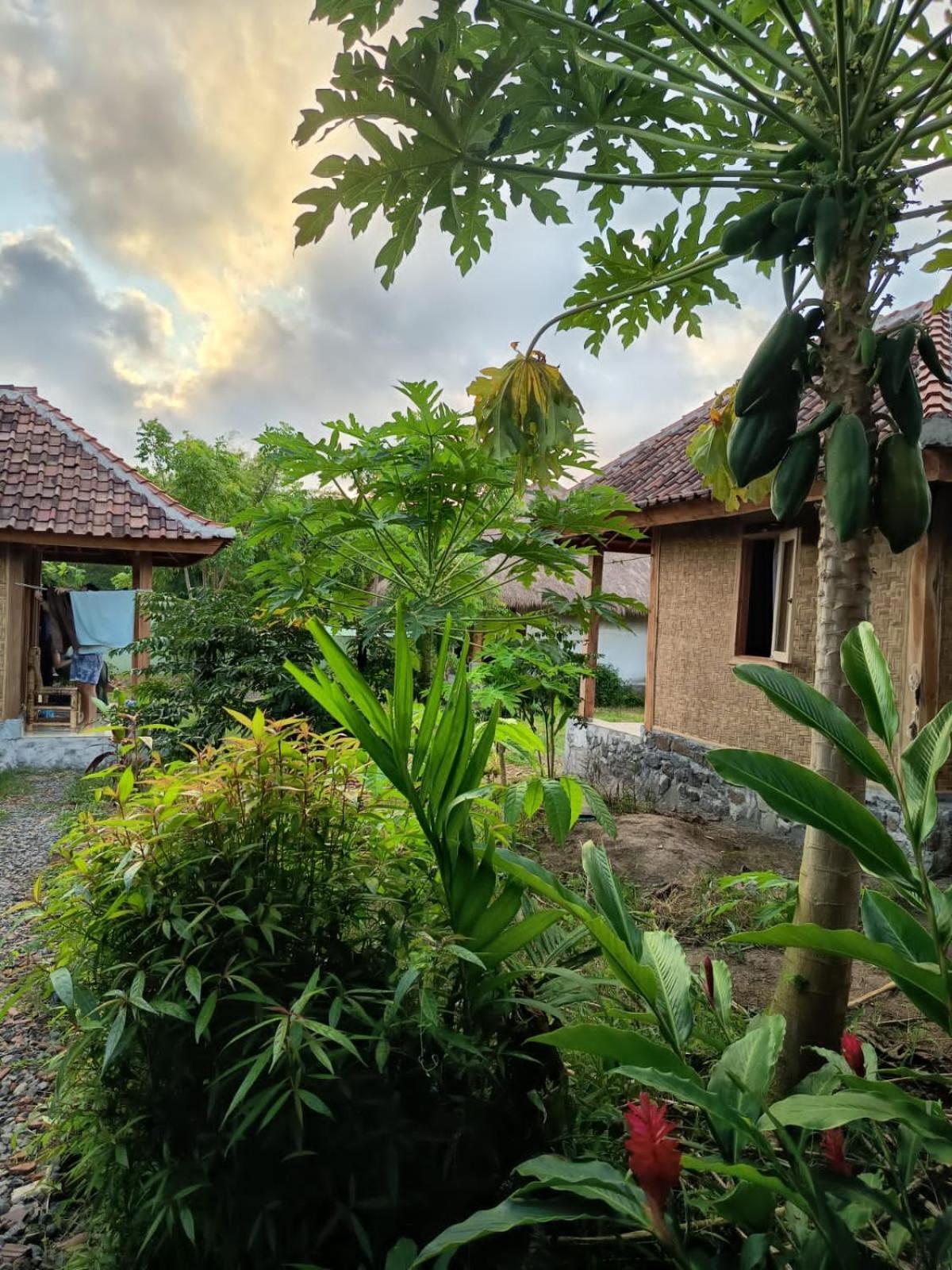 Melody Surf - Ekas Lombok Exterior foto